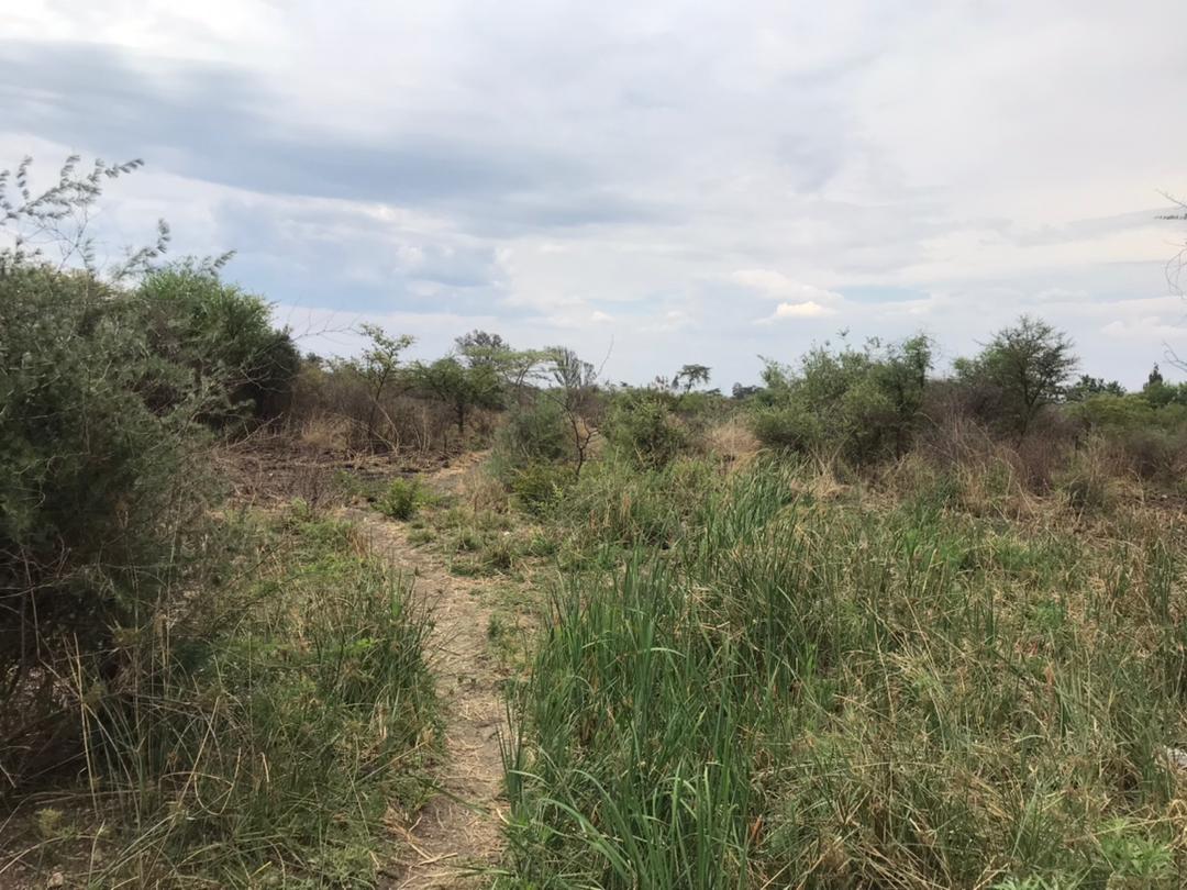 2 x 1 Acre Stands Available – Trenance North